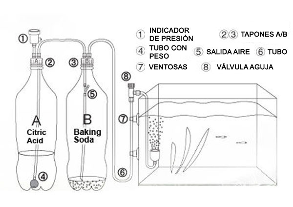 ESquema acido base acuario