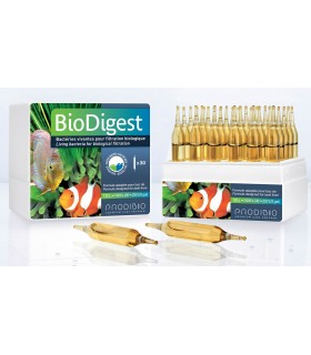 Prodibio BioDigest - 30 ampolas