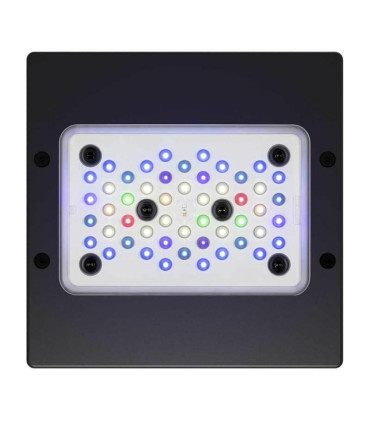 Radion XR15 G6 Pro | Pantallas Marino | Acuario Marino