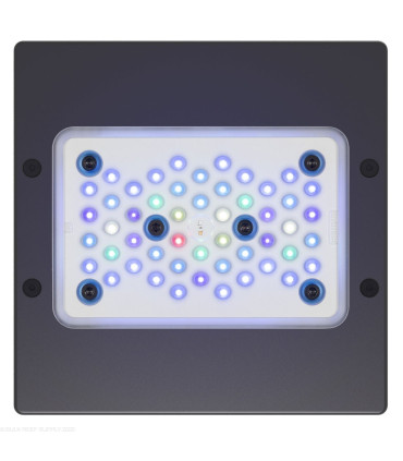 Radion XR15W G5 AZUL - Ecotech