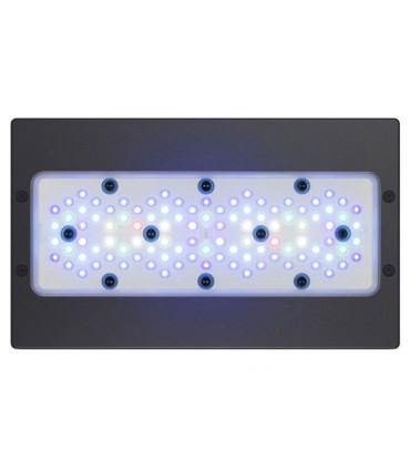 Radion XR30 G6 Blue | Pantallas Marino | Acuario Marino