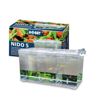 Paridera externa nido 5 hobby