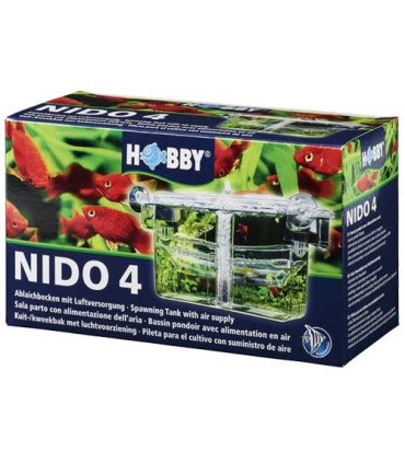 Paridera interna nido 4 hobby