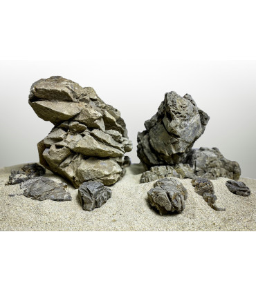 Roca Elderly acuario