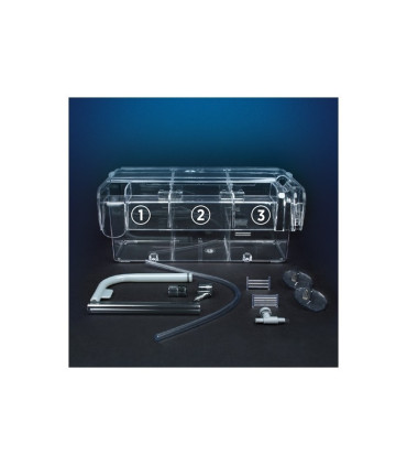 Paridera externa marina