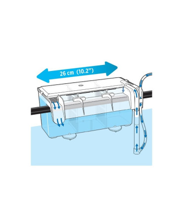 Paridera externa marina