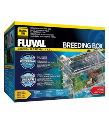 Paridera externa marina