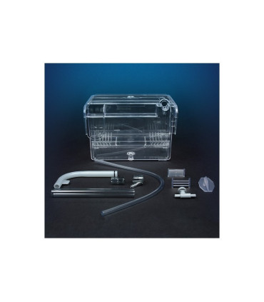 Paridera externa marina