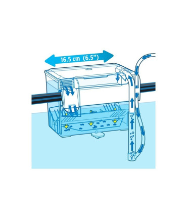 Paridera externa marina