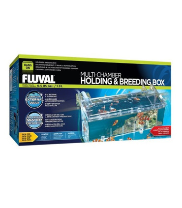 Paridera externa marina