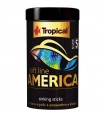 Tropical Soft America S - 100ml