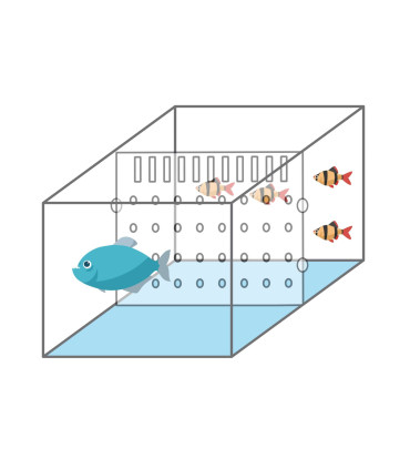 Divisor para el interior del acuario