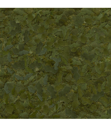 Sera Flora Flakes 100 | Alimento vegetariano guppys | Acuario Plantado