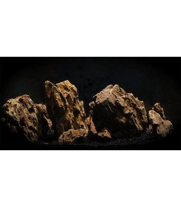 Roca Dragón KG | Acuario Plantado