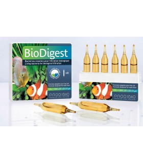Prodibio BioDigest - 12 ampolas