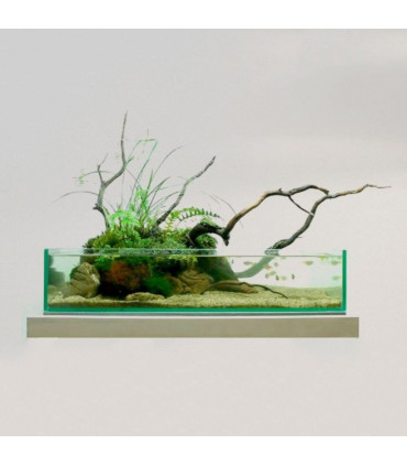 Acuario Vistas 45F y mesa Woody 45 | Urnas para emergido | Acuario Plantado