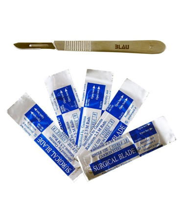 Bisturi corales acuario