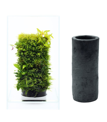 Urna DOOA Neo Glass Air | Terrarios | Acuario Plantado