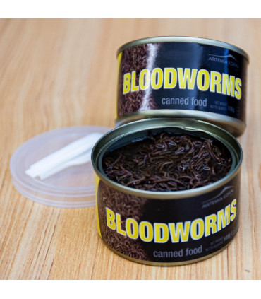 Larva de mosquito conservada | Acuario Plantado