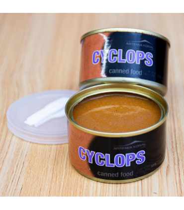 Cyclops conservado | Acuario Plantado