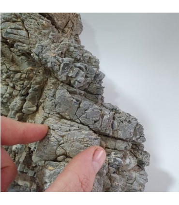 Roca Georock acuario