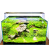 Acuario Wio Vistas 150P y Mesa Woody 150 | Urnas para Aquascaping | Acuario Plantado