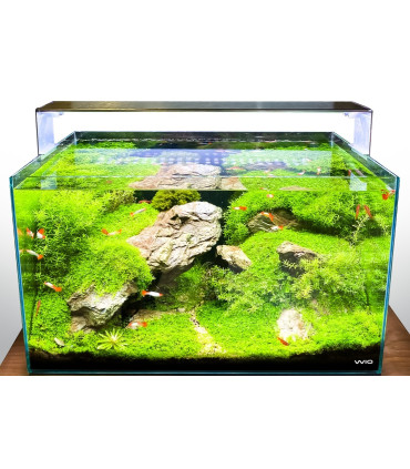 Acuario Wio Vistas 150P y Mesa Woody 150 | Urnas para Aquascaping | Acuario Plantado
