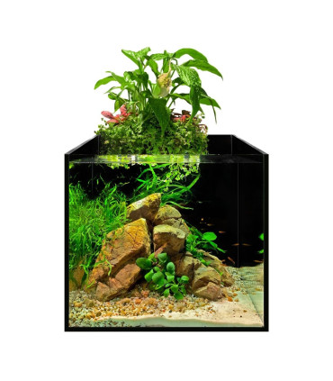 Set acuaponia Aqualighter 13 litros | Afarm | Acuario Plantado