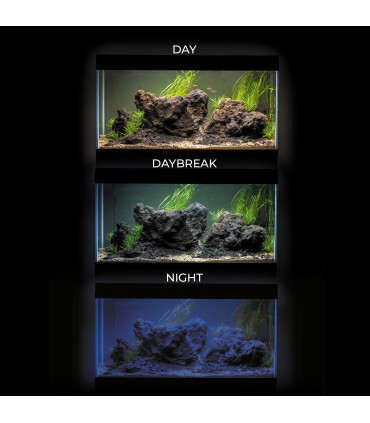 Kit acuario Optiset 200 Aquael | Urnas para Aquascaping | Acuario Plantado