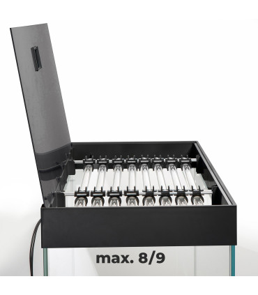 Acuario Wio 30P | Urnas para Aquascaping | Acuario Plantado