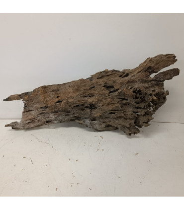 Madera Dragon para acuario | Decoración natural para acuarios | Acuario Plantado