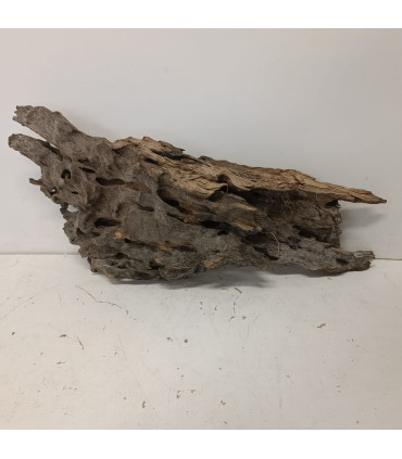 Madera Dragon para acuario | Decoración natural para acuarios | Acuario Plantado