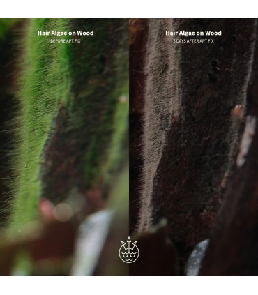 Abono tropica Premium nutrition | Abono para plantas de acuario | Acuario Plantado