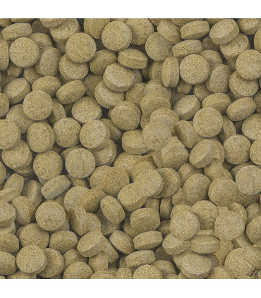 Sera Viformo 50ml | Alimento corydoras y ancistrus | Acuario Plantado