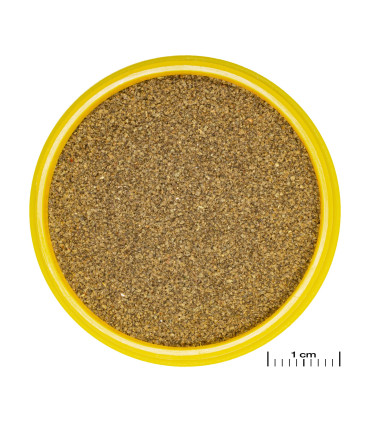 Comida para Neones y Tetras | JBL Pronovo Neon | Acuario Plantado