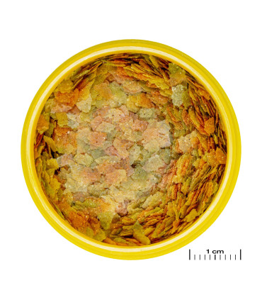 Alimento peces acuario escamas guppys