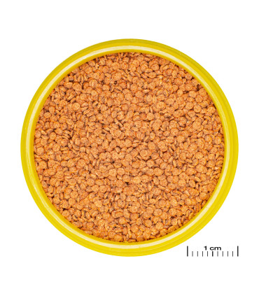 Comida para bettas | JBL Pronovo betta granulado | Acuario Plantado