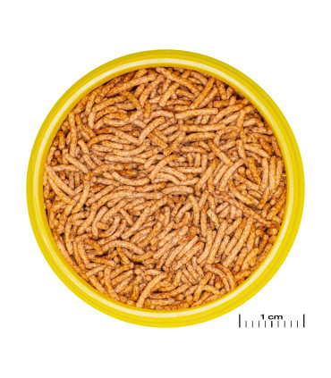 Comida para bettas | JBL Pronovo betta insectos | Acuario Plantado