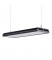 Chihiros Vivid 2 10th Aniversario - Black