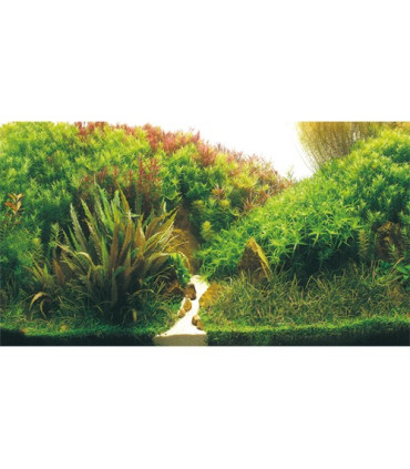 Fondo decorativo acuario azul negro