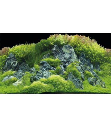 Fondo decorativo acuario azul negro