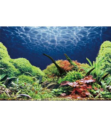 Fondo de acuario Paisaje 1 | Laminas para acuario | Acuario Plantado