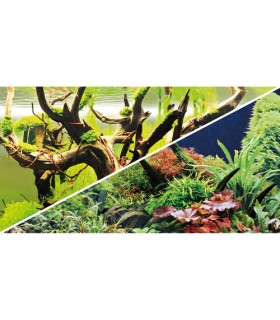 Fundo de aquário Aquascaping 2 - Hobby