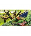 Fondo acuario Aquascaping 2 - Hobby