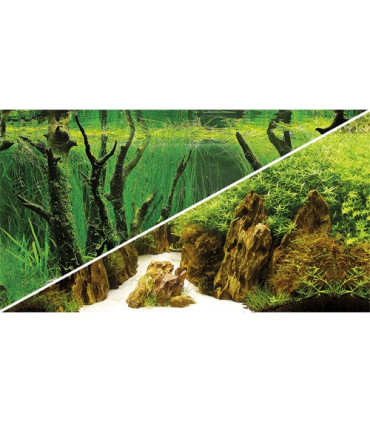 Fondo de acuario Paisaje 3 | Laminas para acuario | Acuario Plantado