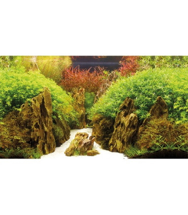 Fondo decorativo acuario azul negro