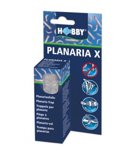 Trampa planaria X - Hobby