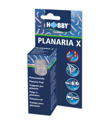 Trampa para Planarias | Hobby Planaria X | Acuario Plantado