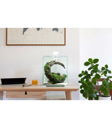 Kit Shrimp day & Night 20 Aquael |Gambarios | Acuario Plantado