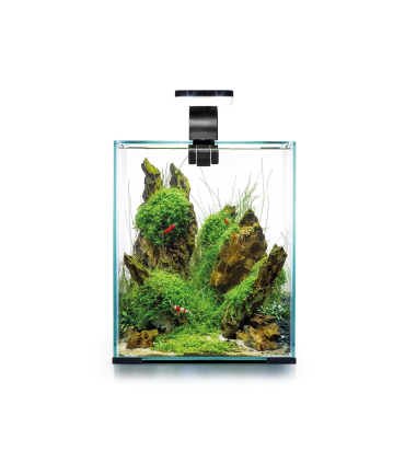 Acuario Wio 30P | Urnas para Aquascaping | Acuario Plantado